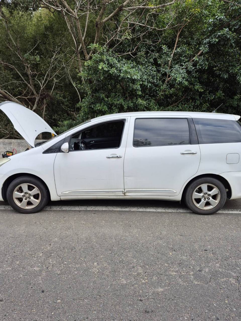 �s�˥N�B���R��B�B�e